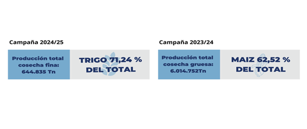 campaña 20 25