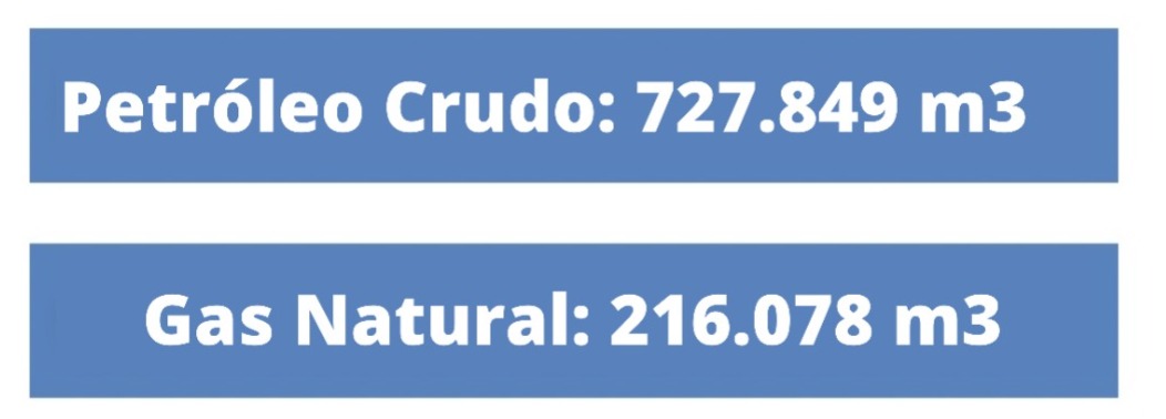 crudo