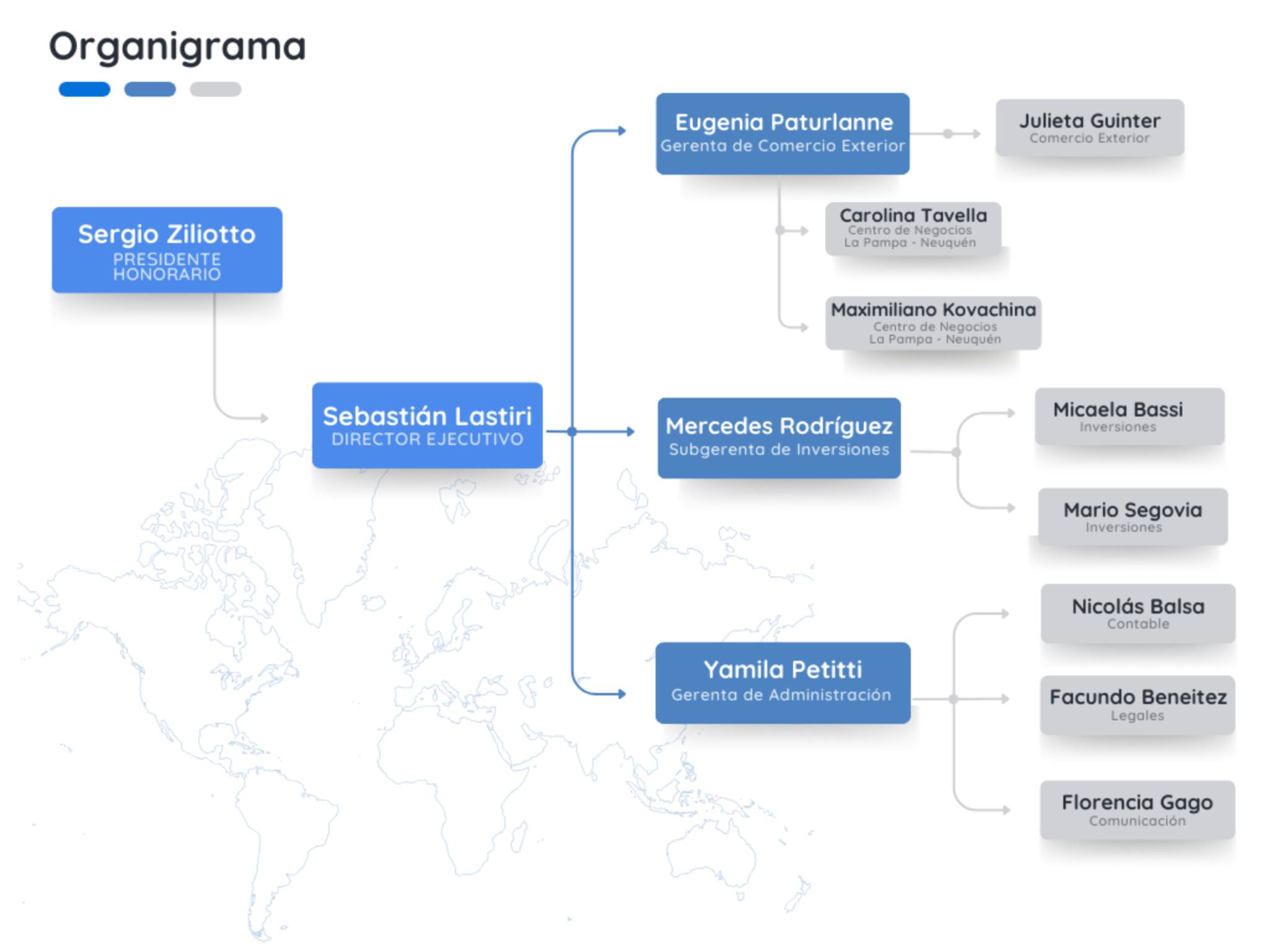 Organigrama I-Comex La Pampa