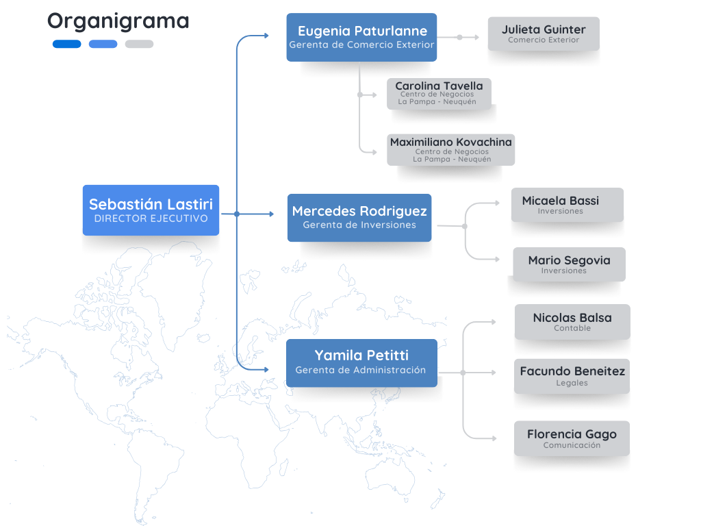 organigrama 2024