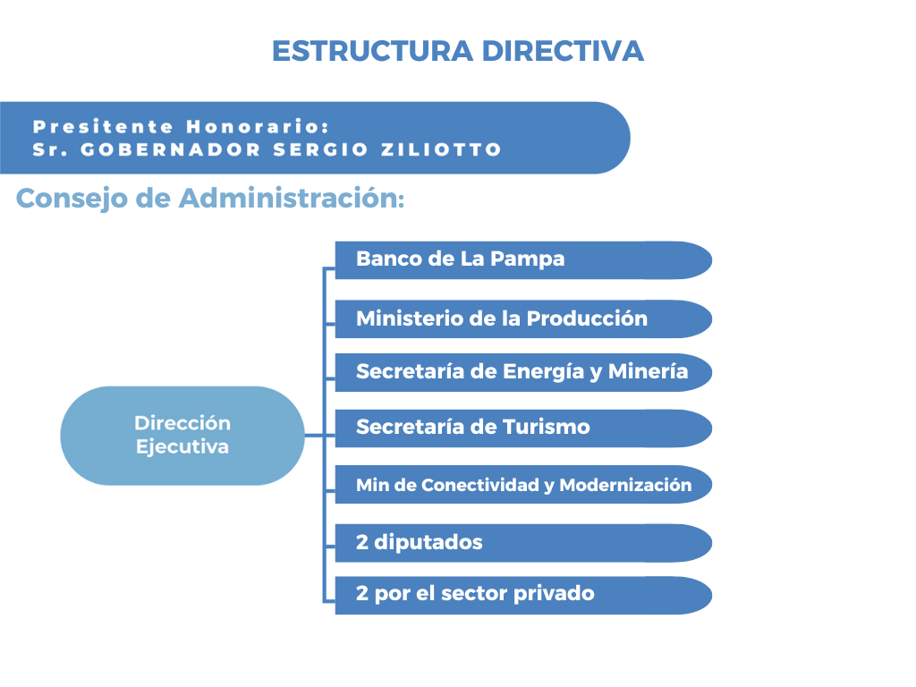 estructura directiva icomex