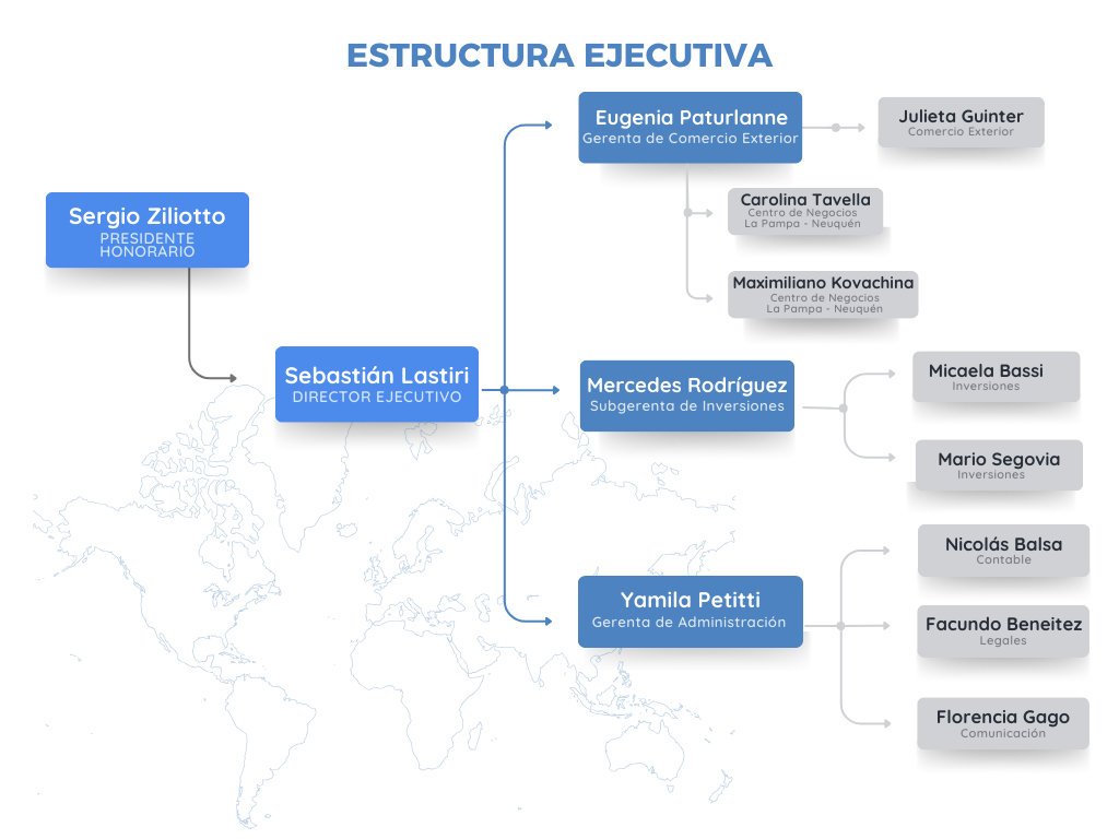 estructura ejecutiva 